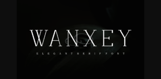 Wanxey Font Poster 1