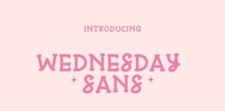 Wednesday Sans Fonts