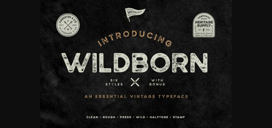 Wildborn Font Poster 3