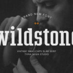 Wildstone Fonts