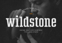 Wildstone Fonts