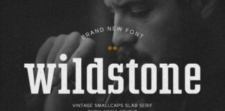 Wildstone Fonts