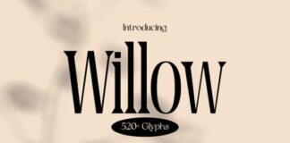 Willow Fonts