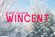 Wincent Black Font Poster 1