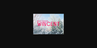 Wincent Bold Font Poster 1