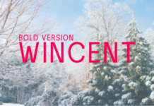 Wincent Bold Fonts