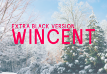 Wincent Extra Black Fonts