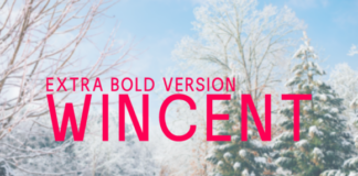 Wincent Extra Bold Font