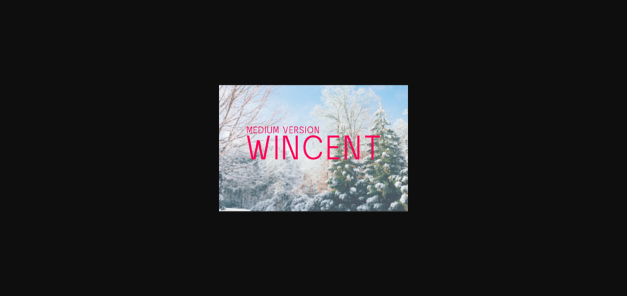 Wincent Medium Font Poster 3