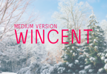 Wincent Medium Font