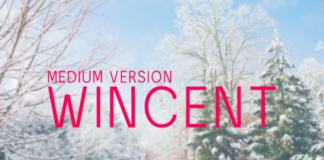 Wincent Medium Font