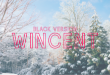 Wincent Outline Black Font