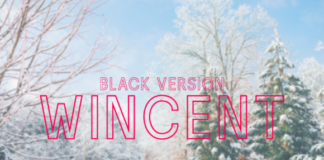 Wincent Outline Black Font