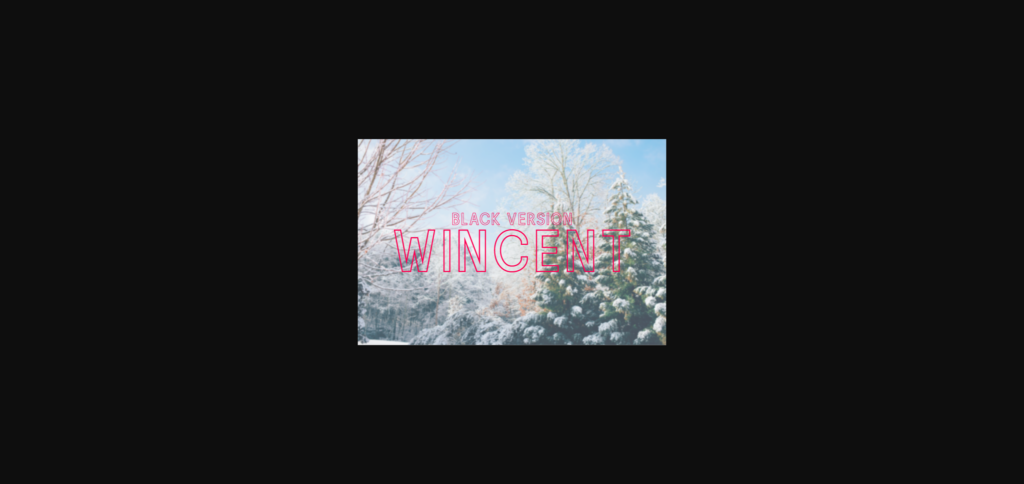 Wincent Outline Extra Black Font Poster 3