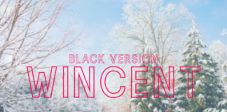 Wincent Outline Extra Black Font