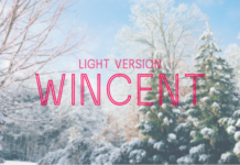 Wincent Outline Light Font