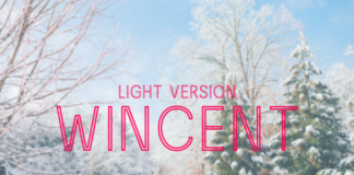 Wincent Outline Light Font