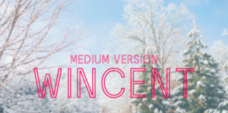 Wincent Outline Medium Font