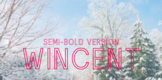 Wincent Outline Semi-Bold Font