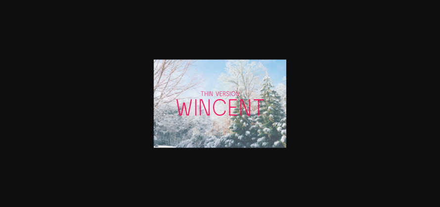 Wincent Outline Thin Font Poster 3