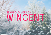 Wincent Semi-Bold Font