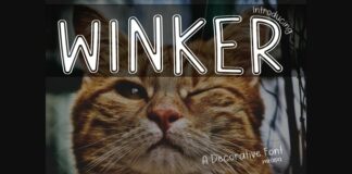 Winker Font Poster 1