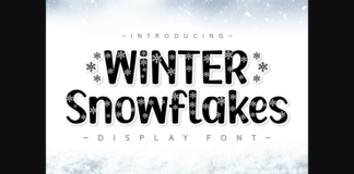 Winter Snowflakes Font Poster 1