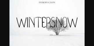 Wintersnow Font Poster 1