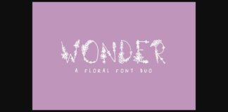 Wonder Font Poster 1