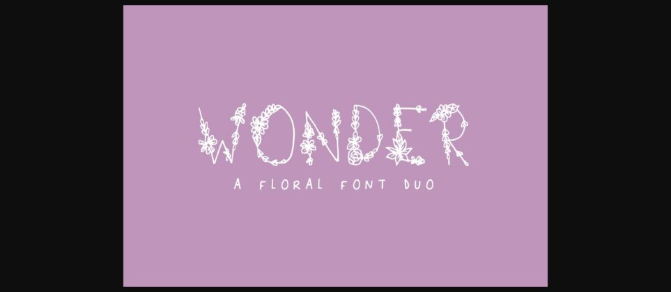 Wonder Font Poster 1