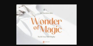 Wonder of Magic Font Poster 1