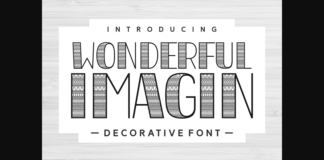 Wonderful Imagin Font Poster 1