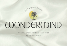 Wondermind Font Poster 1