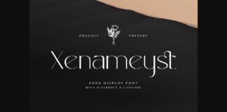 Xenameyst Font Poster 1