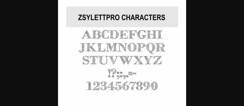 Zsylettpro Font Poster 6