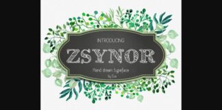 Zsynor Font Poster 1