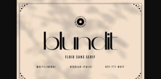 Blundit Font Poster 1