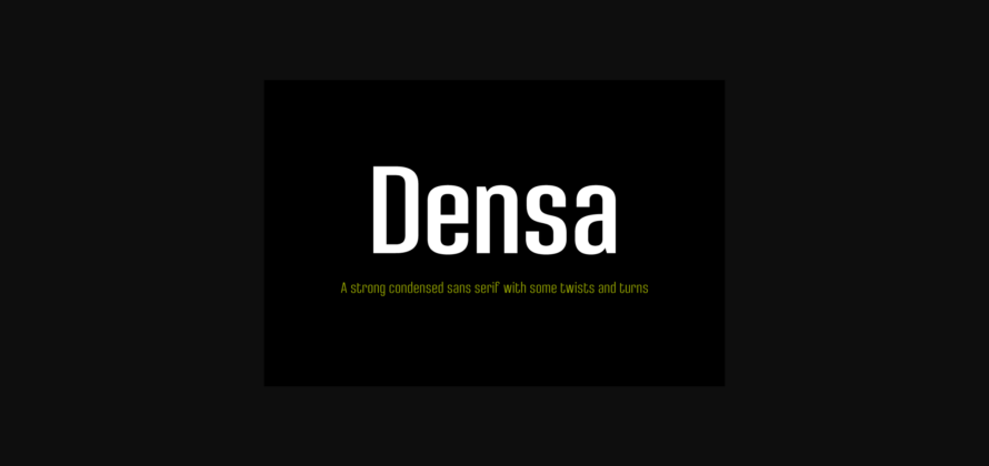 Densa Family Font Poster 3