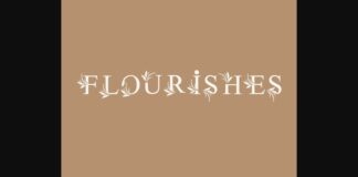 Flourishes Font Poster 1