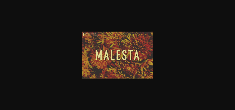 Malesta Font Poster 1