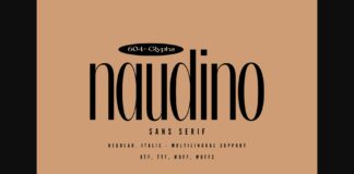 Naudino Font Poster 1