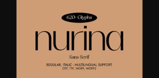 Nurina Font Poster 1