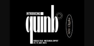 Quinb Font Poster 1