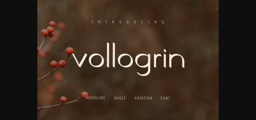 Vollogrin Font Poster 3