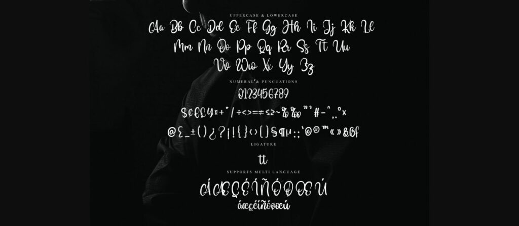 Another Font Poster 8