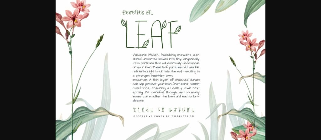 Api-smallleaf Font Poster 4