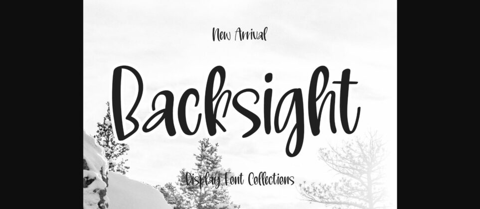 Backsight Font Poster 3