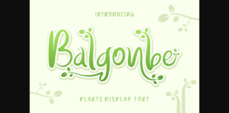 Balgonbe Font Poster 1