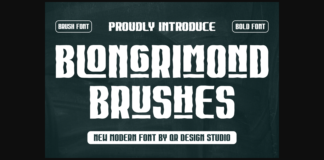 Blongrimond Brushes Font Poster 1