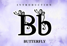 Butterfly Font Poster 1